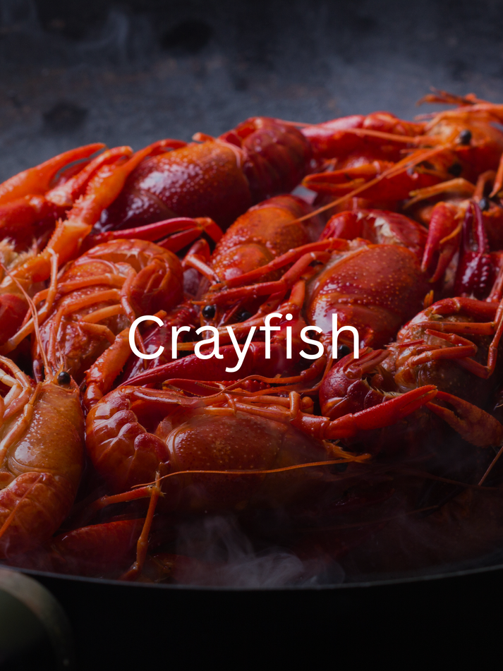 Crayfish – Seven Seas Fisheries